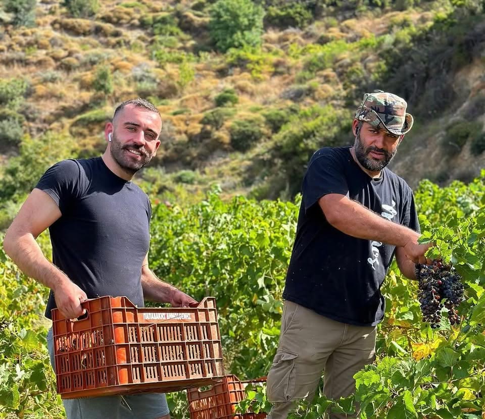 Τα δύο αδέρφια στον τρύγο, στη δική τους γη